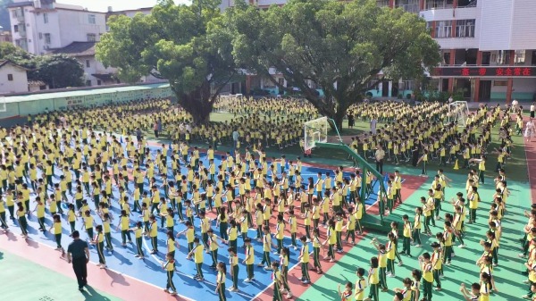 永春白鹤拳操进校园 非遗传承焕发新活力(图1)