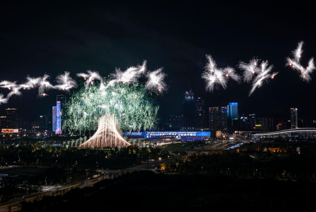 成都世运会丨世运多样 世界多彩——在精彩赛事中推动文明交流互鉴(图5)