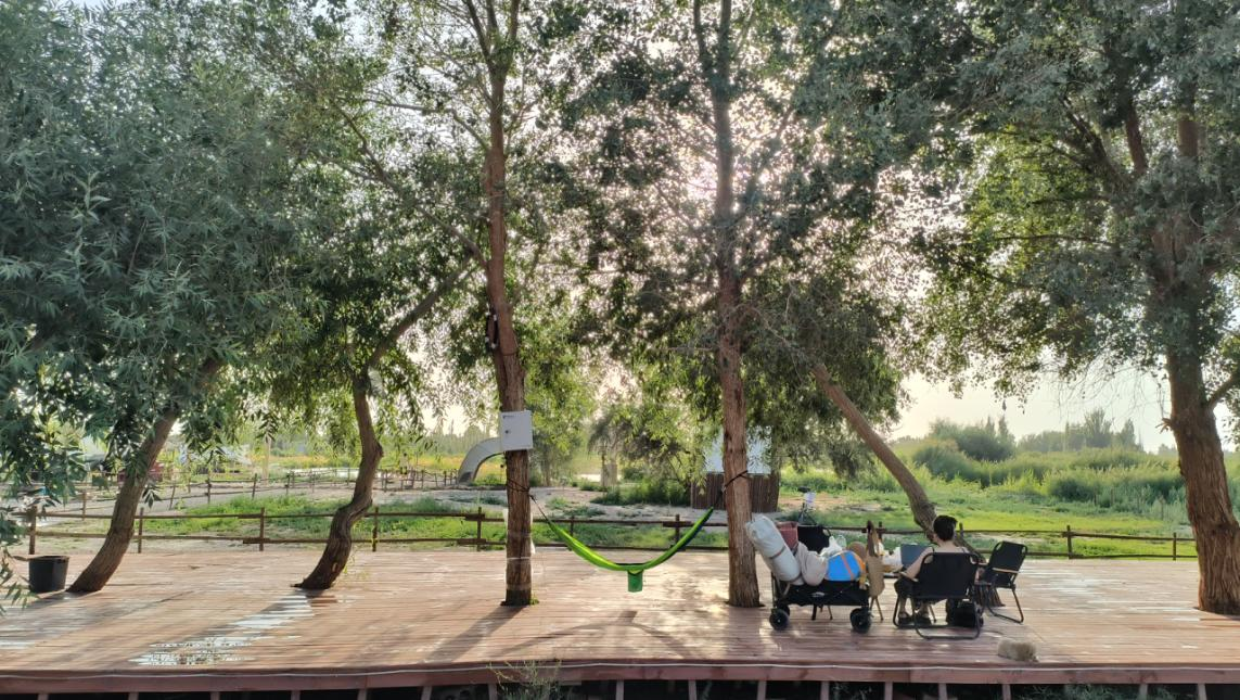 库尔勒小伙把荒滩变露营地!50亩绿洲藏着河景夕阳(图1)