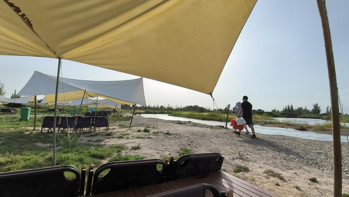 库尔勒小伙把荒滩变露营地!50亩绿洲藏着河景夕阳(图2)