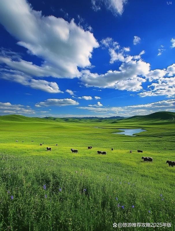 呼伦贝尔2天1晚本地旅行社大概多少钱?二日游最佳旅游攻略推荐!(图1)