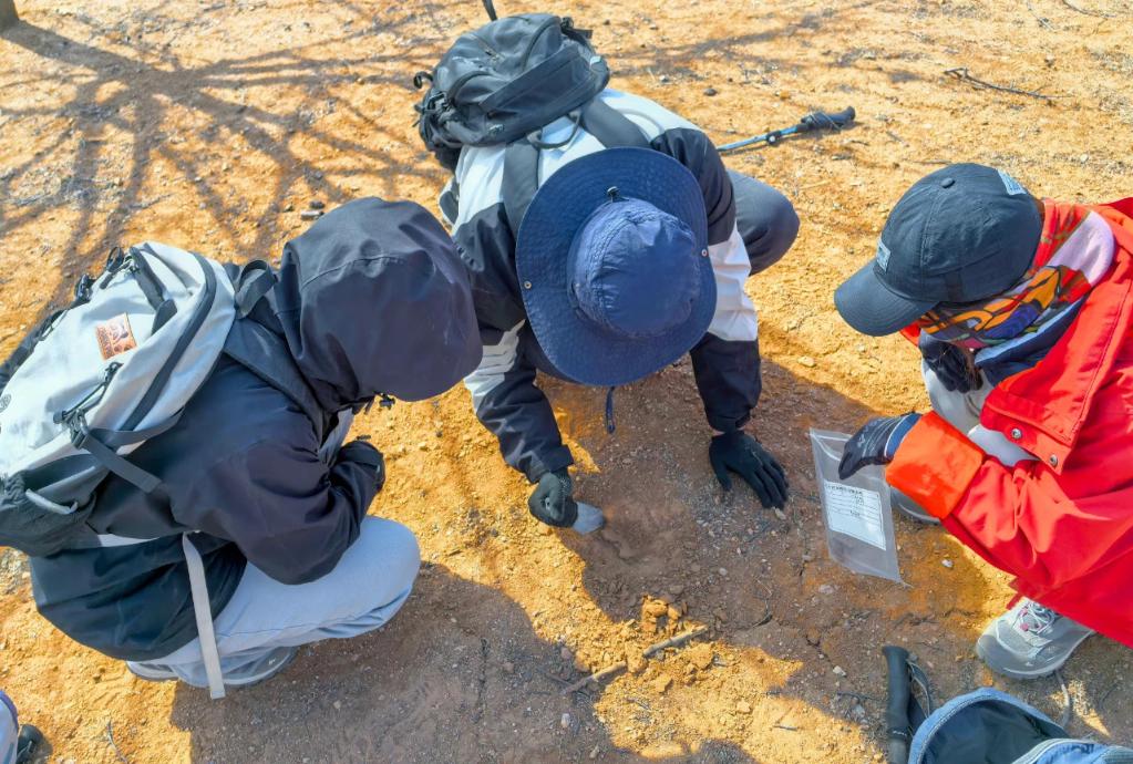 辽宁新发现红山文化遗址44处(图1)