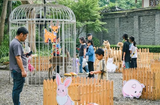 家国同庆时 大邑正精彩 文旅市场喜迎八方客(图2)