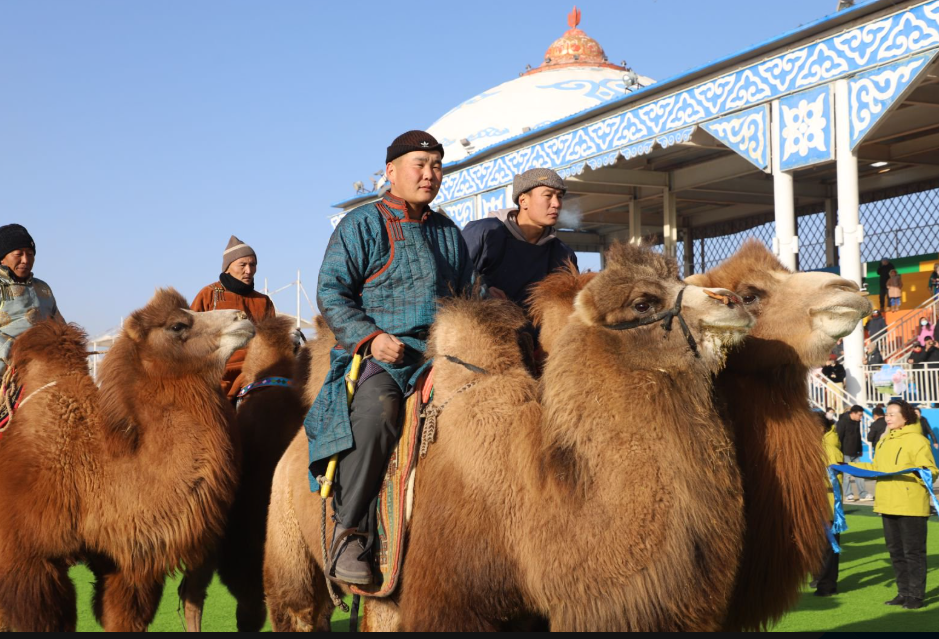 达茂旗冬季那达慕“热力值”拉满(图2)