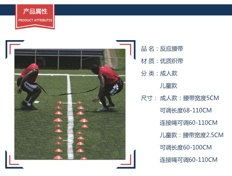 华盛绿能融入“一带一路”打造特色农业项目