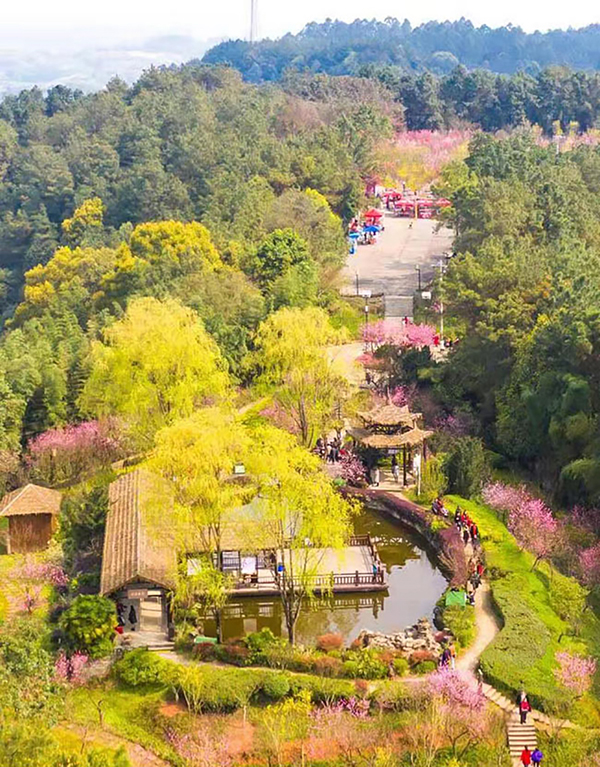 高原体育强基健儿赛场逐光