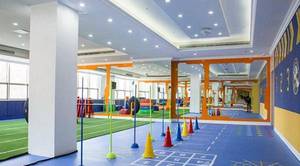 【幼儿园体育活动】个旧市机关幼儿园:趣味运动助力健康成长(图1) 【幼儿园体育活动】个旧市机关幼儿园:趣味运动助力幼儿健康成长