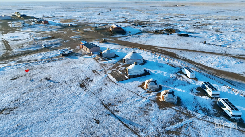 新春走基层|走进牧户家感受草原年(图1)