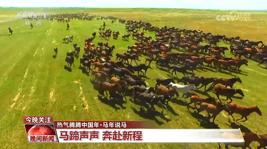 【热气腾腾中国年·马年说马】马蹄声声 奔赴新程(图4)