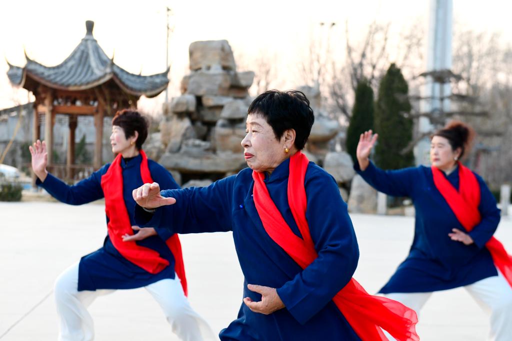 两会现场速递丨护生命之花 结经济硕果 夯强国之基——代表委员谈政府工作报告中的“体育任务书”(图2)