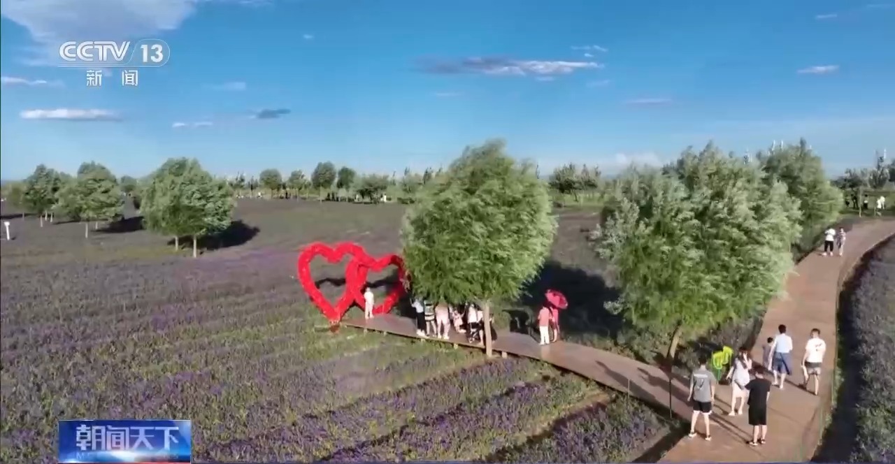 中国(内蒙古)自由贸易试验区今天正式揭牌(图2)