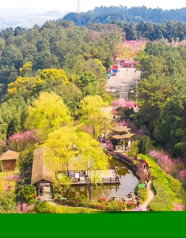 【记者在现场】榜样筑梦